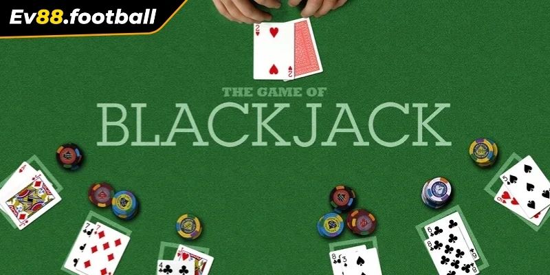 Tổng hợp đầy đủ luật chơi Blackjack cho tân binh